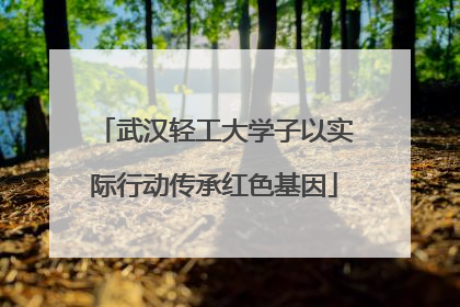 武汉轻工大学子以实际行动传承红色基因