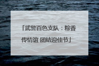 武警百色支队：粽香传情谊 团结迎佳节