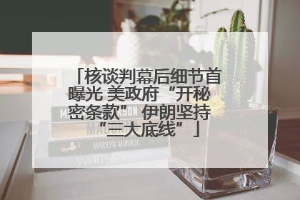 核谈判幕后细节首曝光 美政府“开秘密条款” 伊朗坚持“三大底线”