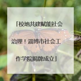 校地共建赋能社会治理！淄博市社会工作学院揭牌成立