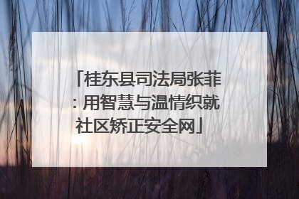 桂东县司法局张菲：用智慧与温情织就社区矫正安全网