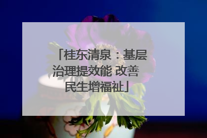 桂东清泉：基层治理提效能 改善民生增福祉