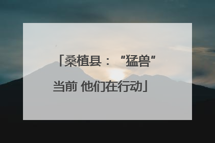 桑植县：“猛兽”当前 他们在行动