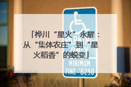 桦川“星火”永耀：从“集体农庄”到“星火稻香”的蜕变