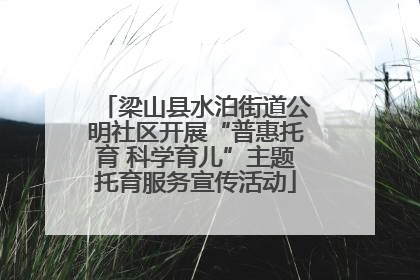 梁山县水泊街道公明社区开展“普惠托育 科学育儿”主题托育服务宣传活动
