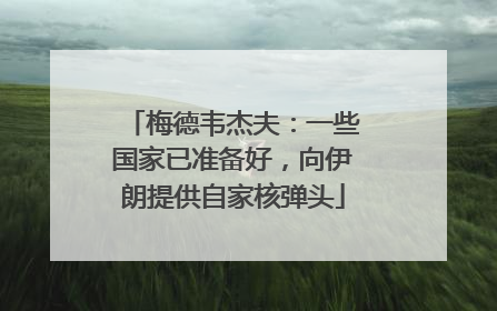 梅德韦杰夫：一些国家已准备好，向伊朗提供自家核弹头