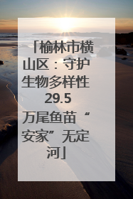 榆林市横山区：守护生物多样性 29.5万尾鱼苗“安家”无定河