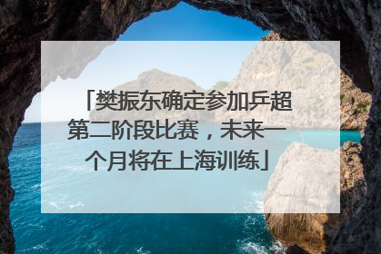樊振东确定参加乒超第二阶段比赛，未来一个月将在上海训练