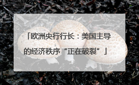 欧洲央行行长：美国主导的经济秩序“正在破裂”