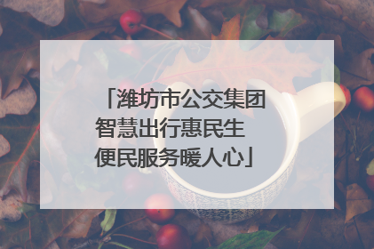 潍坊市公交集团智慧出行惠民生 便民服务暖人心