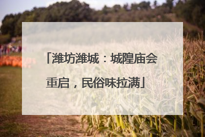 潍坊潍城：城隍庙会重启，民俗味拉满