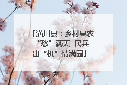 潢川县：乡村果农“愁”满天  民兵出“机”情满园