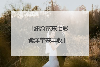 澜沧富东七彩紫洋芋获丰收
