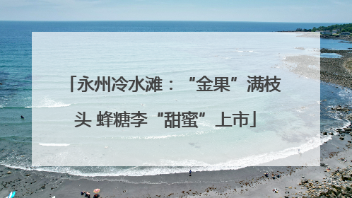 永州冷水滩：“金果”满枝头 蜂糖李“甜蜜”上市