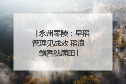 永州零陵：早稻管理见成效 稻浪飘香穗满田