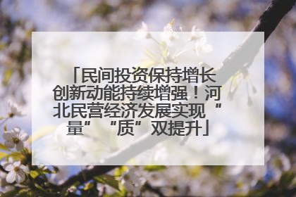 民间投资保持增长 创新动能持续增强！河北民营经济发展实现“量”“质”双提升