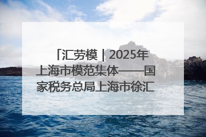 汇劳模｜2025年上海市模范集体——国家税务总局上海市徐汇区税务局第一税务所