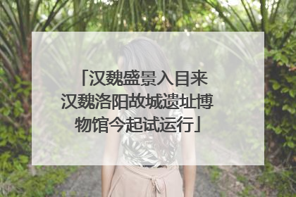 汉魏盛景入目来 汉魏洛阳故城遗址博物馆今起试运行