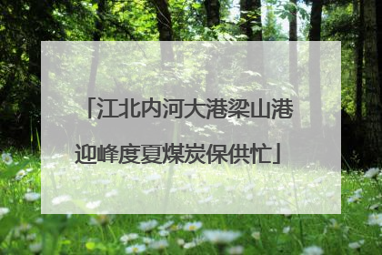 江北内河大港梁山港迎峰度夏煤炭保供忙