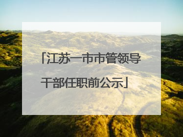江苏一市市管领导干部任职前公示