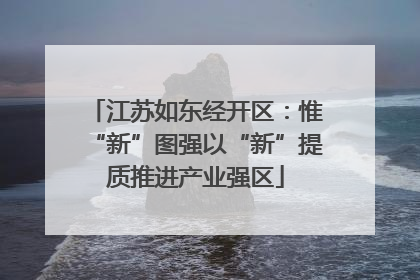江苏如东经开区：惟“新”图强以“新”提质推进产业强区