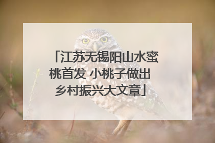 江苏无锡阳山水蜜桃首发 小桃子做出乡村振兴大文章