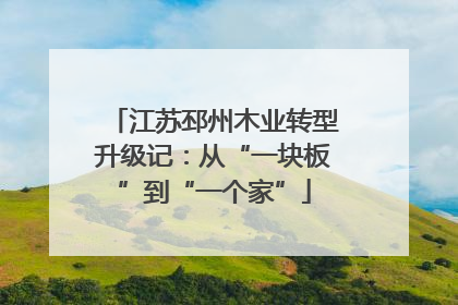 江苏邳州木业转型升级记：从“一块板”到“一个家”