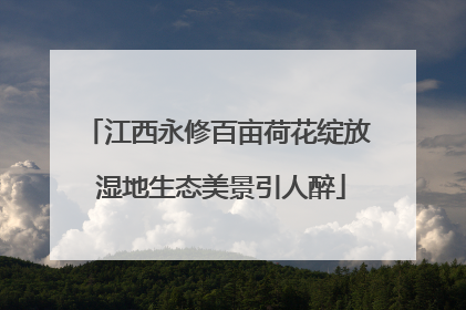 江西永修百亩荷花绽放 湿地生态美景引人醉