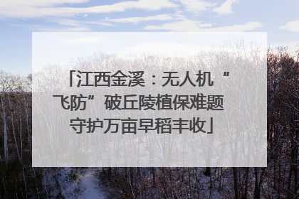 江西金溪：无人机“飞防”破丘陵植保难题 守护万亩早稻丰收