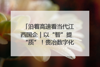 沿着高速看当代江西国企｜以“智”提“质”！贵冶数字化转型迈出新步伐