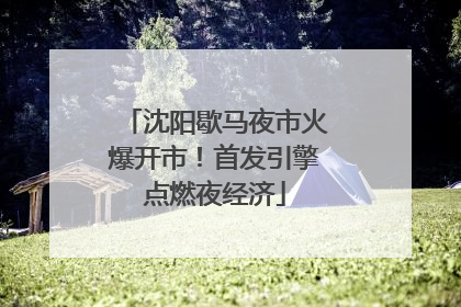 沈阳歇马夜市火爆开市！首发引擎点燃夜经济