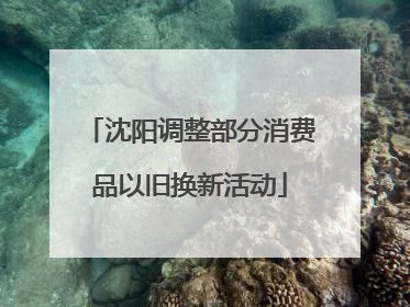 沈阳调整部分消费品以旧换新活动