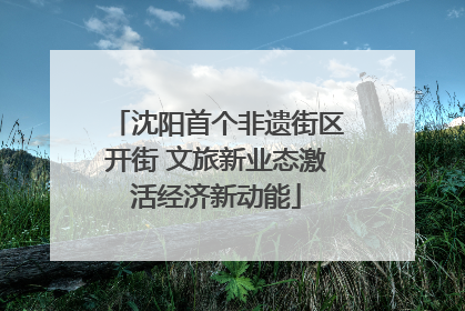 沈阳首个非遗街区开街 文旅新业态激活经济新动能