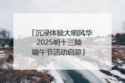 沉浸体验大明风华 2025明十三陵端午节活动启幕