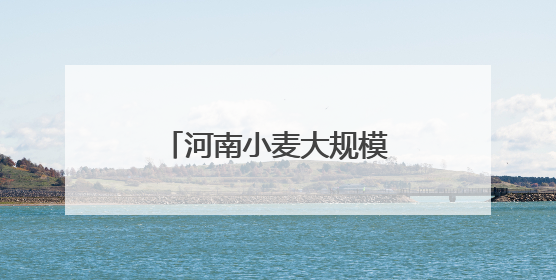 河南小麦大规模机收作业收官 全省麦收基本结束