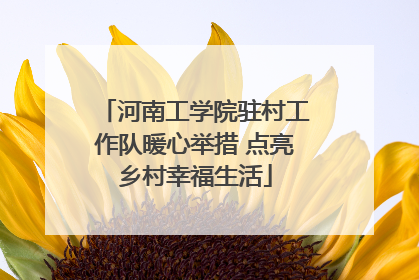 河南工学院驻村工作队暖心举措 点亮乡村幸福生活