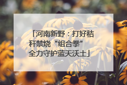 河南新野：打好秸秆禁烧“组合拳” 全力守护蓝天沃土