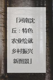 河南沈丘：特色农业绘就乡村振兴新图景