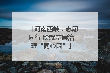 河南西峡：志愿同行 绘就基层治理“同心圆”