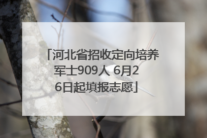 河北省招收定向培养军士909人 6月26日起填报志愿