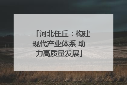 河北任丘：构建现代产业体系 助力高质量发展