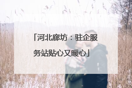 河北廊坊：驻企服务站贴心又暖心