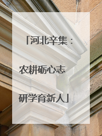 河北辛集：农耕砺心志 研学育新人