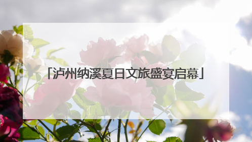 泸州纳溪夏日文旅盛宴启幕