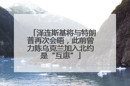 泽连斯基将与特朗普再次会晤，此前曾力陈乌克兰加入北约是“互惠”