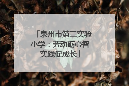 泉州市第二实验小学：劳动砺心智实践促成长