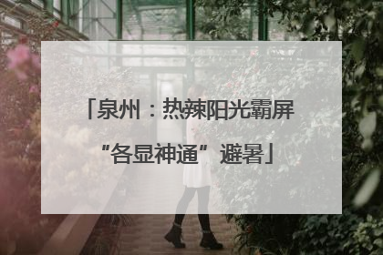 泉州：热辣阳光霸屏 “各显神通”避暑