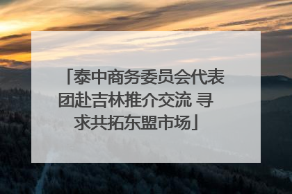 泰中商务委员会代表团赴吉林推介交流 寻求共拓东盟市场