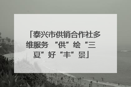 泰兴市供销合作社多维服务 “供”绘“三夏”好“丰”景