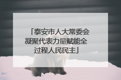 泰安市人大常委会凝聚代表力量赋能全过程人民民主